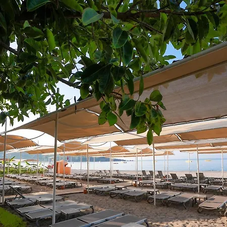 Seaphoria Beach Resort-3